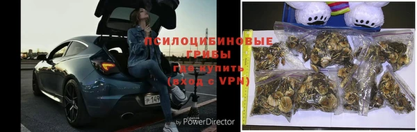 амф Баксан