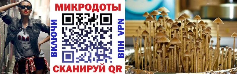 Галлюциногенные грибы GOLDEN TEACHER  как найти закладки  Шагонар 