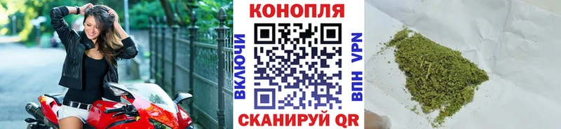 Бошки Шишки White Widow Шагонар